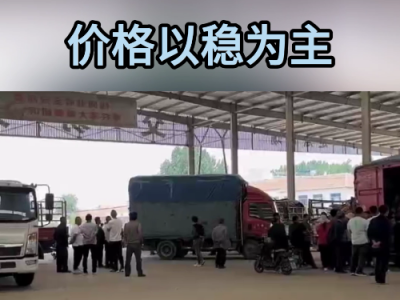 5月27日下午安丘黑埠子市场（以稳为主） ()