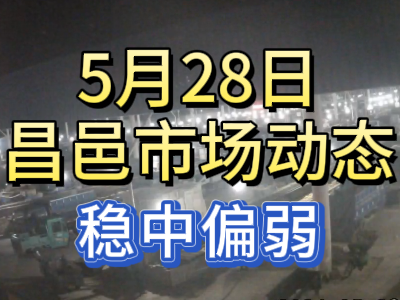 5月28日 琨福市场大姜价格（稳中偏弱） ()
