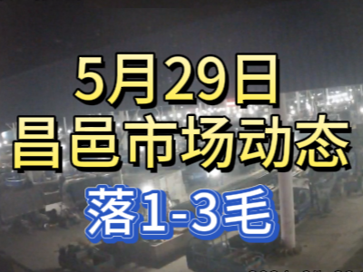 5月29日 琨福市场大姜价格（落1-3毛） ()