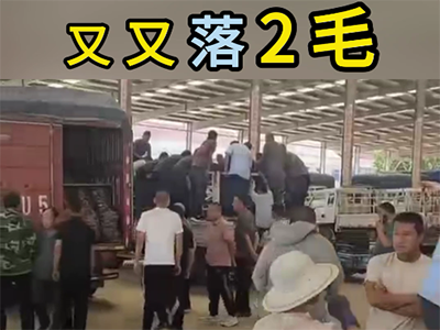 5月29日下午安丘黑埠子市场（又落2毛） ()