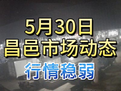 5月30日 琨福市场大姜价格（行情稳弱） ()
