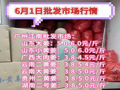 6月1日广州江南批发市场生姜价格行情 ()