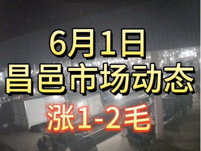 6月1日 琨福市场大姜价格（涨1-2毛） ()