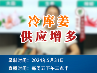 冷库姜供应增多！ ()