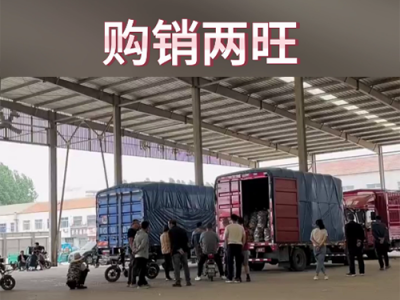 6月5日下午安丘黑埠子市场（购销两旺） ()