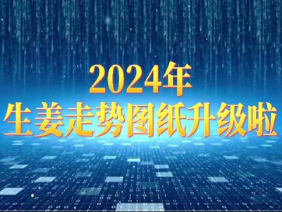 2024年生姜走势图纸升级啦！ ()