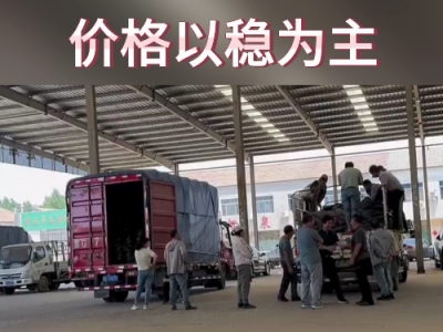 6月7日下午安丘黑埠子市场（以稳为主） ()