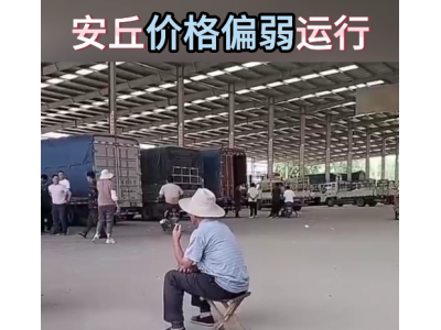 6月8日下午安丘黑埠子市场（行情偏弱） ()