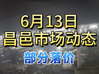 6月13日 琨福市场大姜价格（部分落价） ()