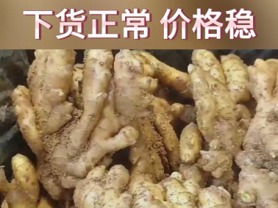 6月13日下午安丘黑埠子市场（价格平稳） ()