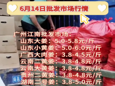 6月14日广州江南批发市场生姜价格行情 ()