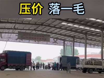 6月14日下午安丘黑埠子市场（落1毛） ()