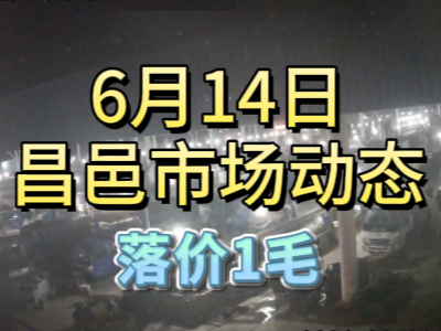 6月14日 琨福市场大姜价格（落价1毛） ()