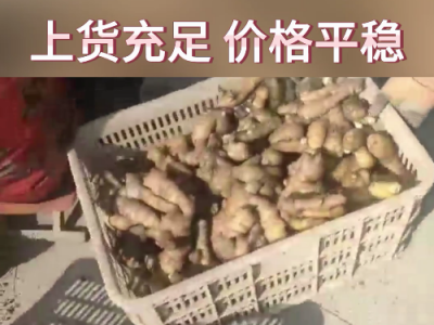 6月15日下午安丘黑埠子市场（价格平稳） ()