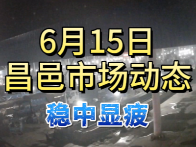 6月15日 琨福市场大姜价格（稳中显疲） ()