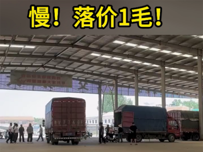 6月17日下午安丘黑埠子市场（落1毛） ()