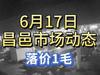 6月17日 琨福市场大姜价格（落价1毛） ()