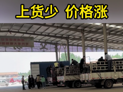 6月18日下午安丘黑埠子市场（货少价涨） ()