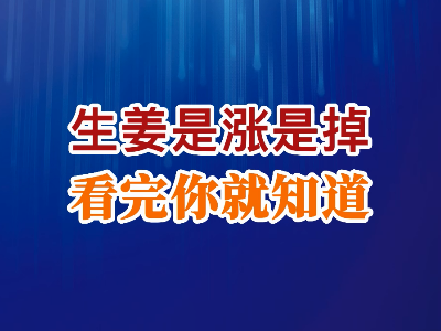 生姜是涨是掉 看完你就知道 ()