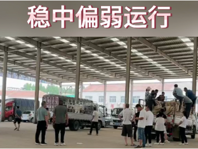 6月21日下午安丘黑埠子市场（稳中偏弱） ()