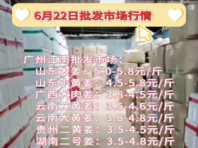 6月22日广州江南批发市场生姜价格行情 ()