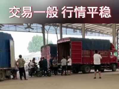 6月24日下午安丘黑埠子市场（行情平稳） ()