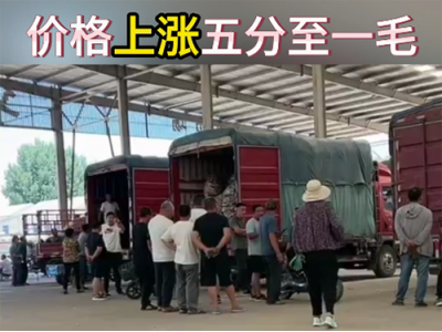 6月25日下午安丘黑埠子市场（涨价） ()