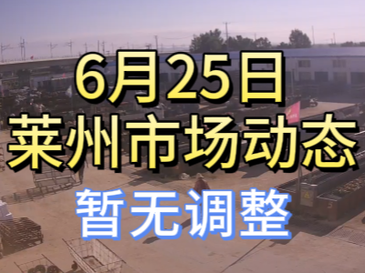 6月25日 莱州生姜交易实况（暂无调整） ()