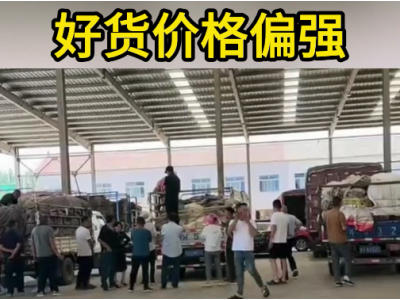 6月26日下午安丘黑埠子市场（好货价硬） ()