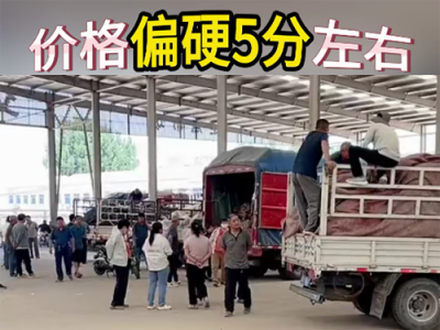 6月27日下午安丘黑埠子市场（偏硬5分） ()