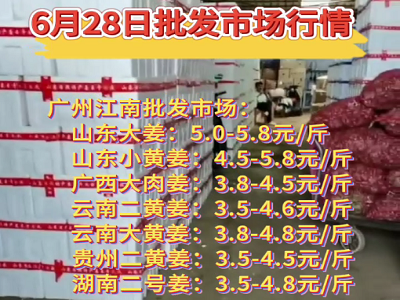 6月28日广州江南批发市场生姜价格行情 ()