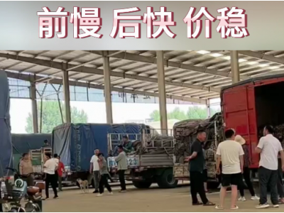 6月28日下午安丘黑埠子市场（先慢后快） ()