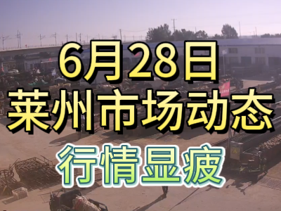6月28日 莱州生姜交易实况（行情显疲） ()