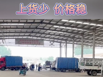 6月29日下午安丘黑埠子市场（货少价稳） ()