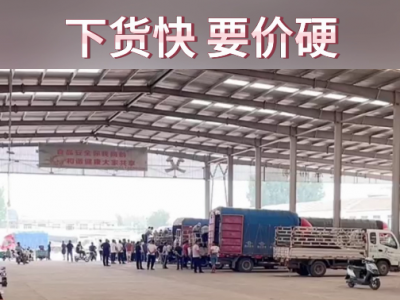 7月1日下午安丘黑埠子市场（下货快要价硬） ()