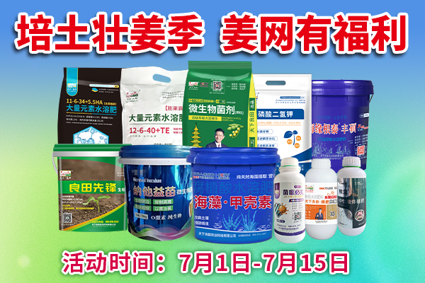 培土壮姜季 姜网有福利 ()