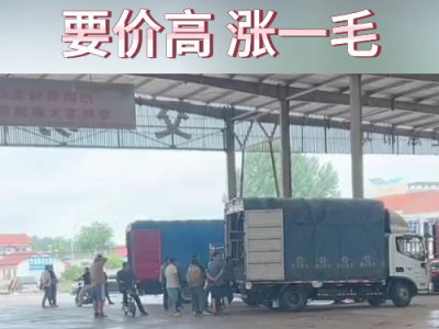 7月4日下午安丘黑埠子市场（再涨1毛） ()