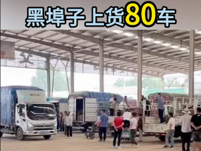 7月5日下午安丘黑埠子市场（爆满） ()