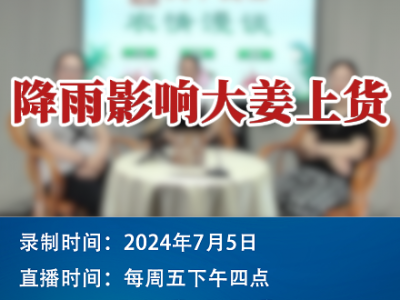 农情漫谈：降雨影响大姜上货！ ()