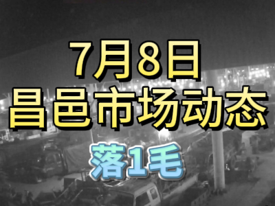 7月8日 琨福市场大姜价格（落1毛） ()