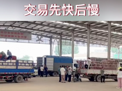 7月10日下午安丘黑埠子市场（先快后慢） ()