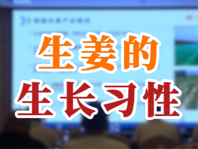 生姜的生长习性 ()