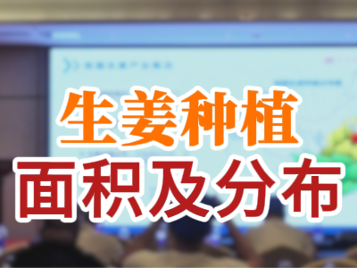 生姜种植面积及分布 ()