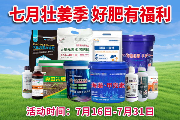 七月壮姜季 好肥有福利 ()