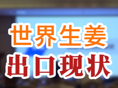 世界生姜出口现状 ()