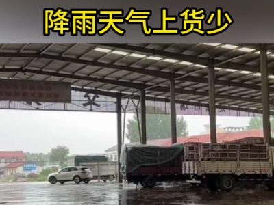 7月16日下午安丘黑埠子市场（下雨货少） ()