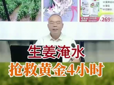 生姜淹水抢救黄金4小时 ()