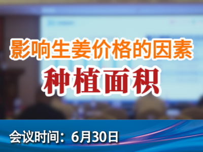 影响生姜价格的因素--种植面积 ()