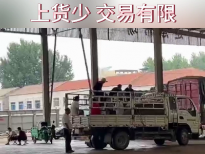 7月17日下午安丘黑埠子市场（上货少） ()