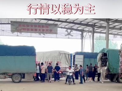 7月19日下午安丘黑埠子市场（以稳为主） ()